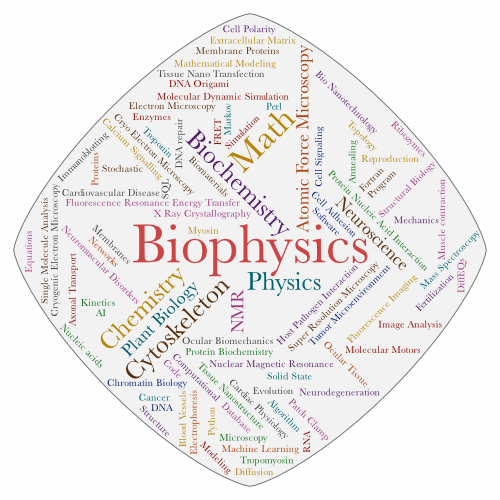 word cloud of biophysics terms