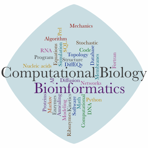 word cloud representing the Computational Biology and Bioinformatics division