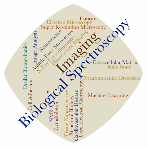 word cloud representing the Biological Spectroscopy and Imaging division