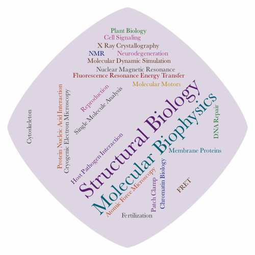 word cloud representing the Structural Biology and Molecular Biophysics division